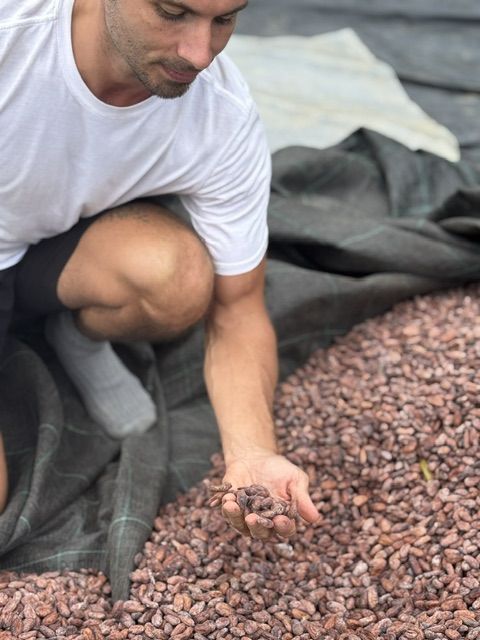 Michael checking cacao beans drying on a tarp